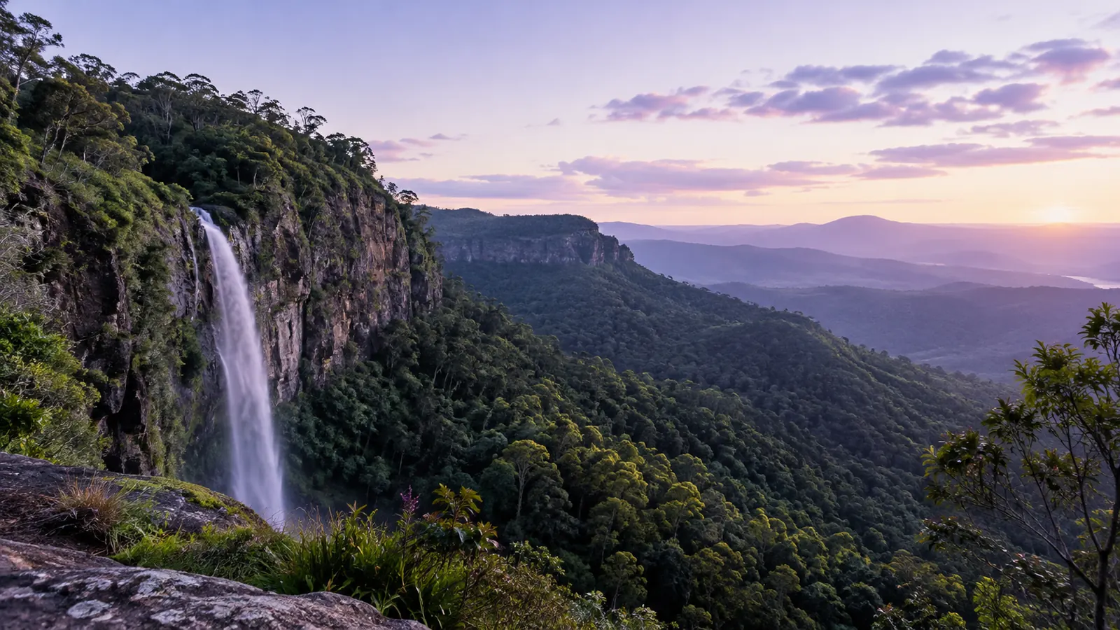 Springbrook National Park
