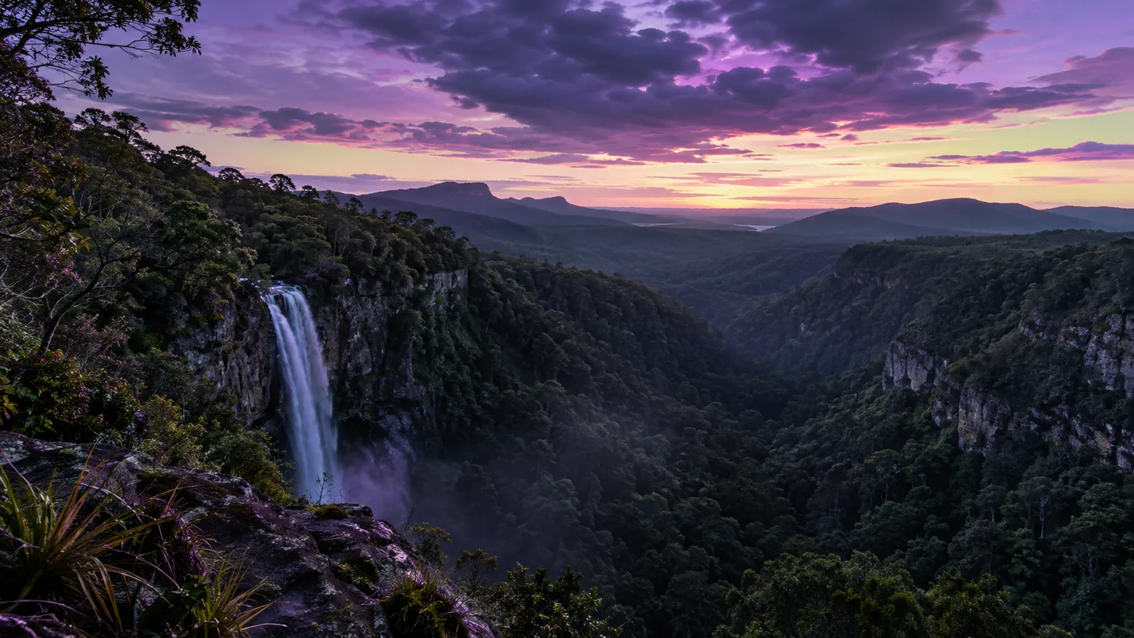 Springbrook National Park