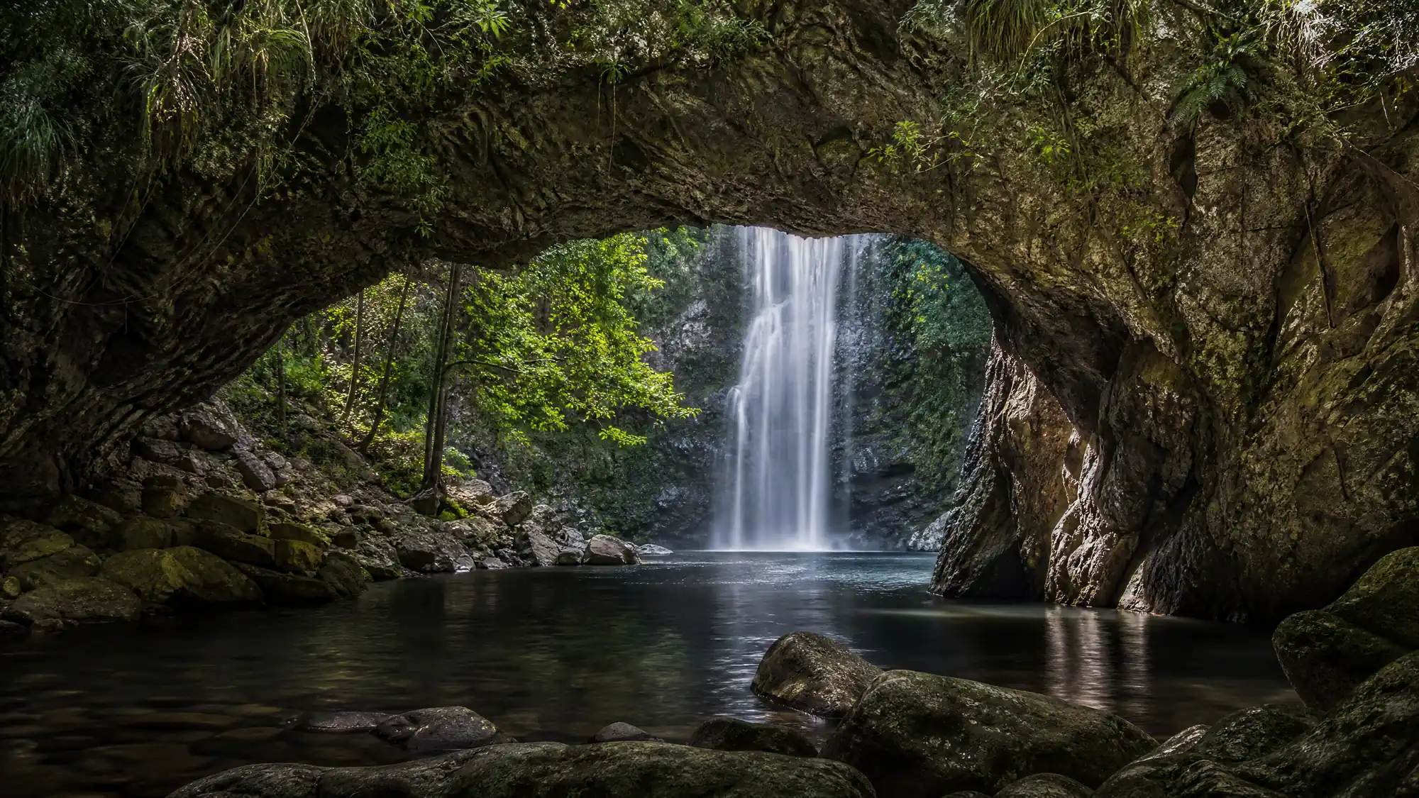 Explore 6,558 hectares of protected Gondwana rainforest. You will find cascading waterfalls, deep gorges, and a famous glow-worm colony.