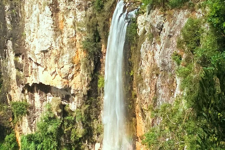 Purling Brook Falls cascading down a rocky cliff face in Springbrook National Park