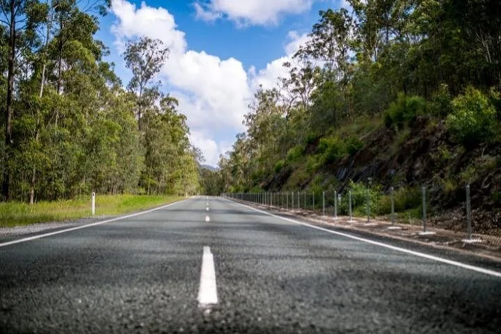 Empty paved road curving through a forest under a bright blue sky.