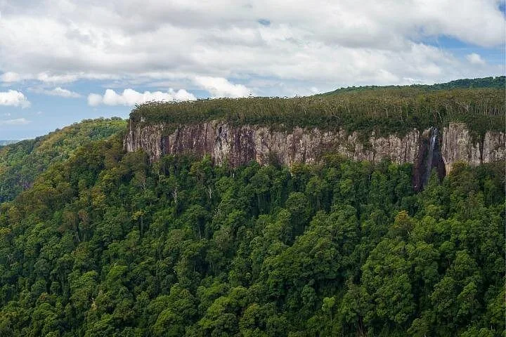 Dense green forest covering the steep, rocky cliffs of a large mountain plateau.