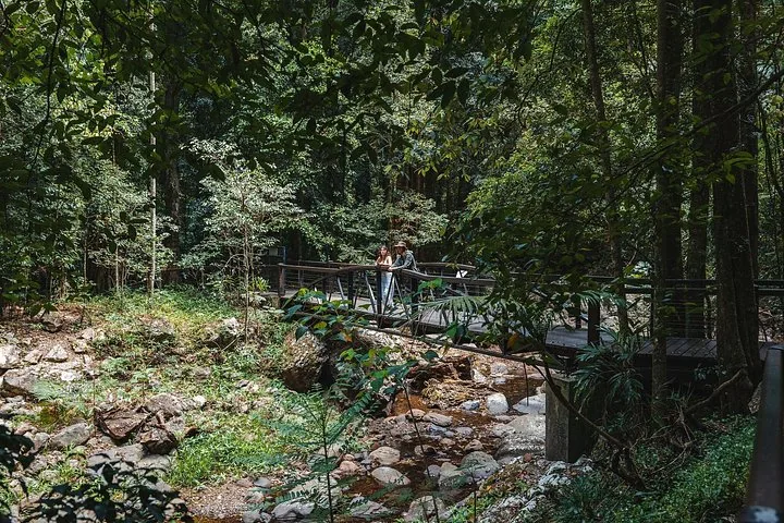 Two people stand on a wooden bridge over a rocky stream in a forest.